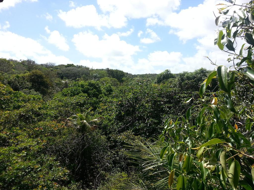 Villa Maree Praia de Pipa Eksteriør bilde