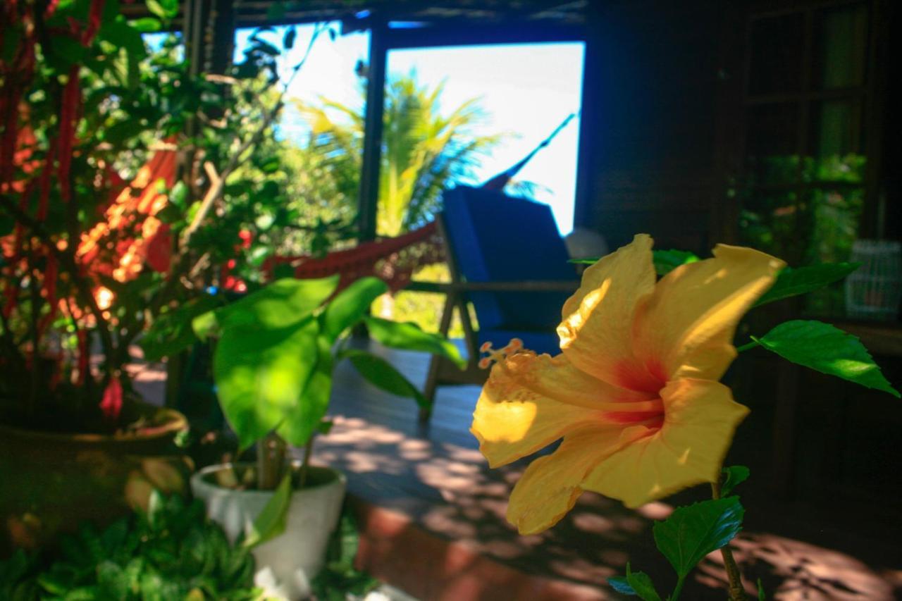 Villa Maree Praia de Pipa Eksteriør bilde